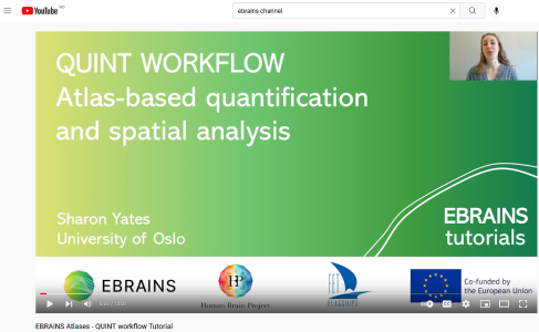 Quint tutorial video pic.png