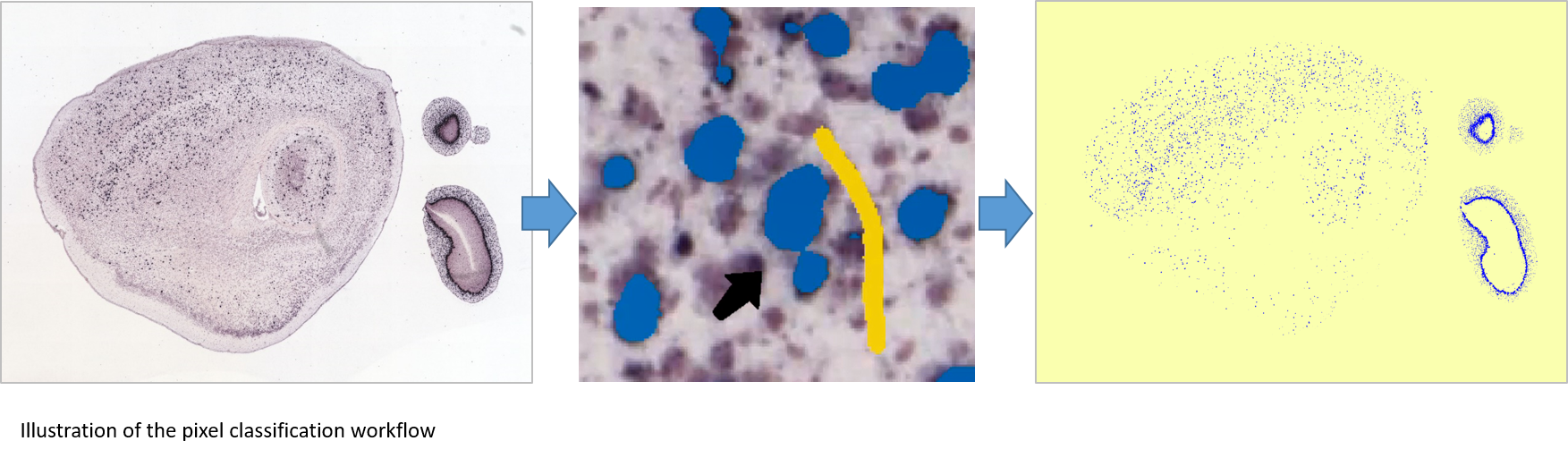 Pixel_classification workflow.png