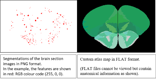 Illustration seg_flat_files.png