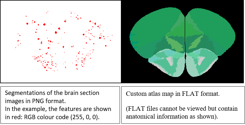 Illustration seg_flat_files.png